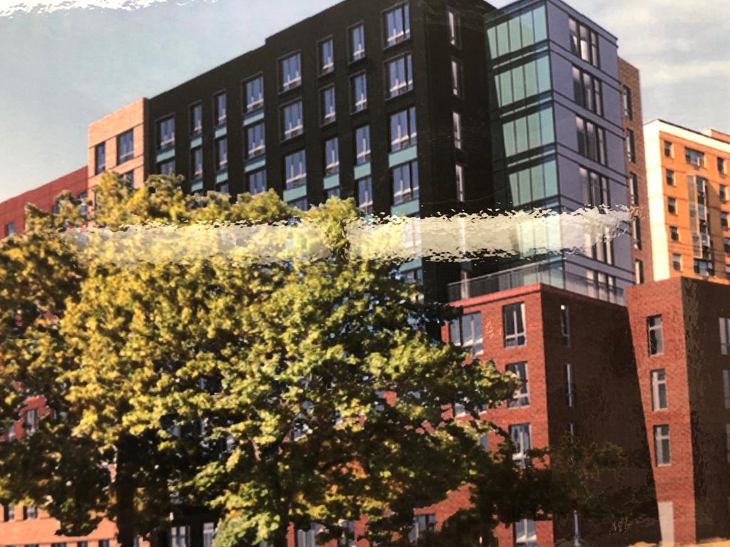 WhatsApp Image 2019-04-22 at 12.55.05 PM (1)